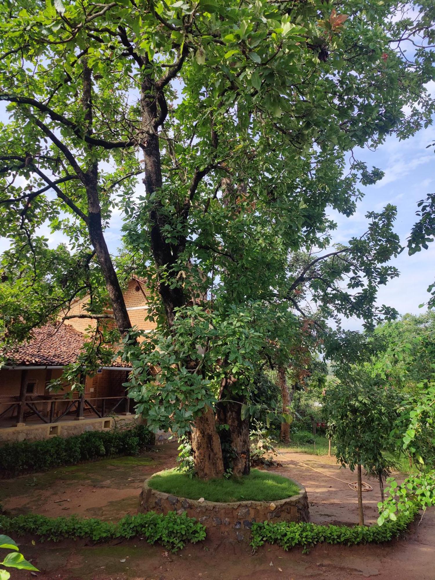 Surwahi Social Ecoestate Kanha Appartement Buitenkant foto