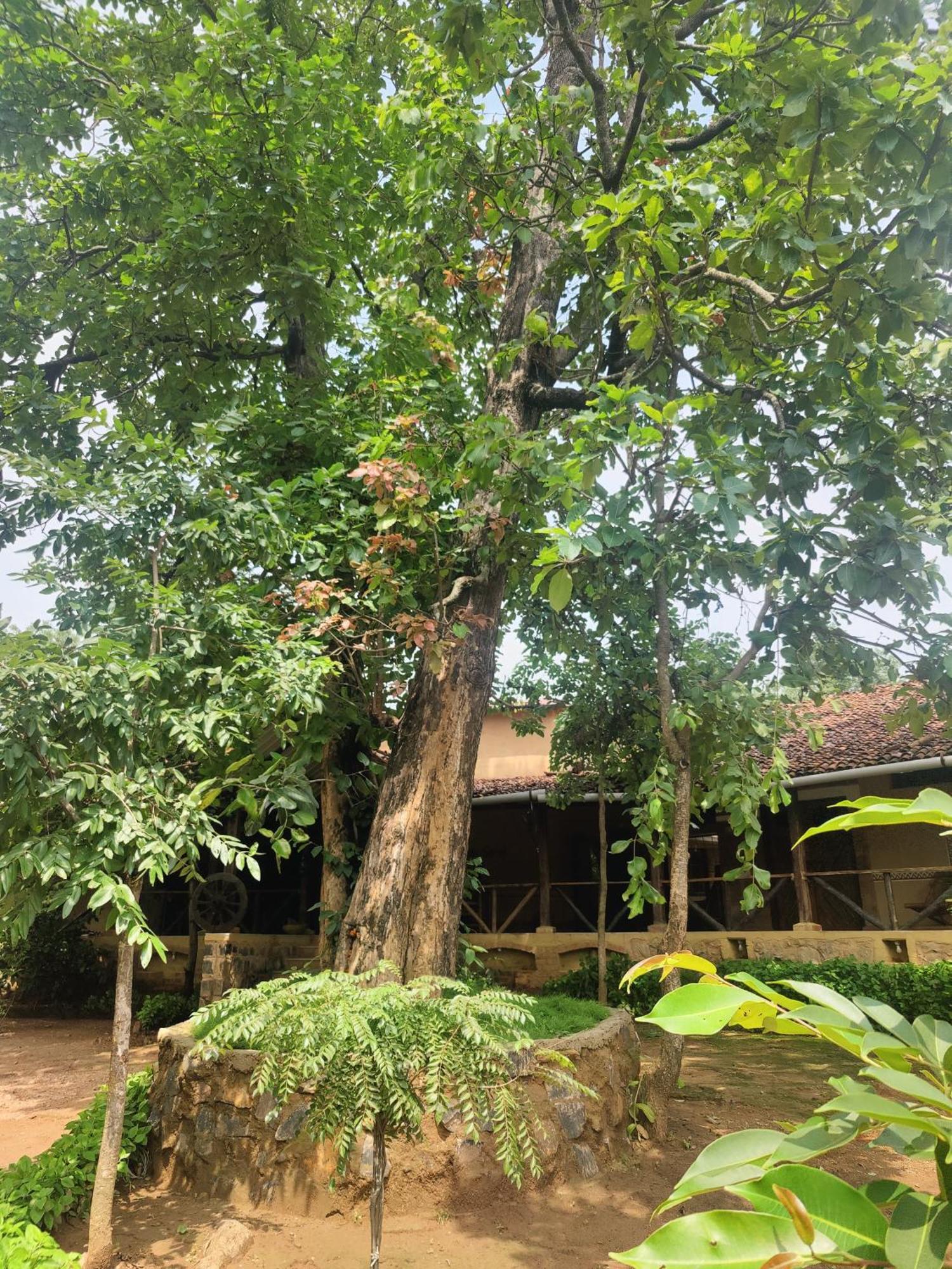 Surwahi Social Ecoestate Kānha Buitenkant foto