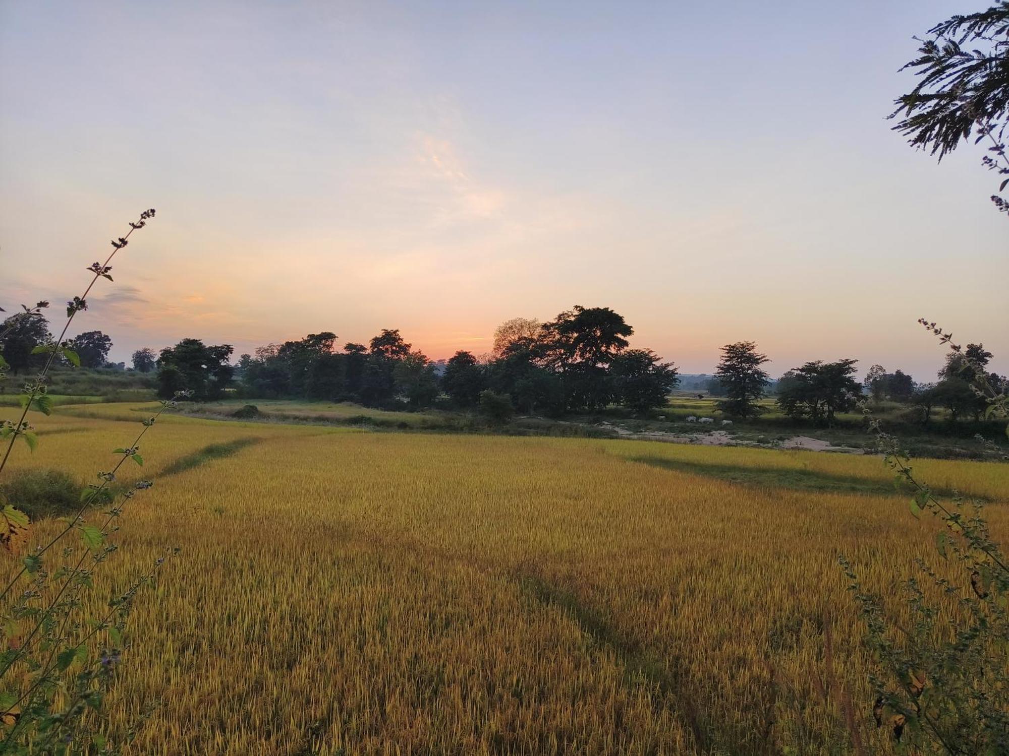 Surwahi Social Ecoestate Kānha Buitenkant foto